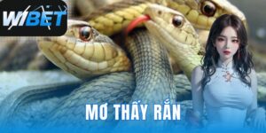 Mơ thấy rắn